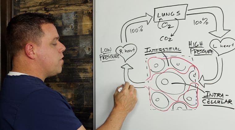 4013 Cardiac Anatomy and Physiology (BLS)